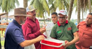COLÓN: Gobernador Caldera y Ministro Padrino despliegan Plan Nacional de Vacunación antiaftosa