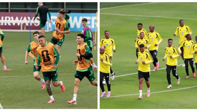 Mundial-Mexico-y-Sudafrica