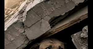 DOBLETE SÍSMICO: La Piedad del Escombro, un milagro en Caracas