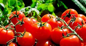 El tomate, gran aliado para frenar el riesgo de cáncer de próstata