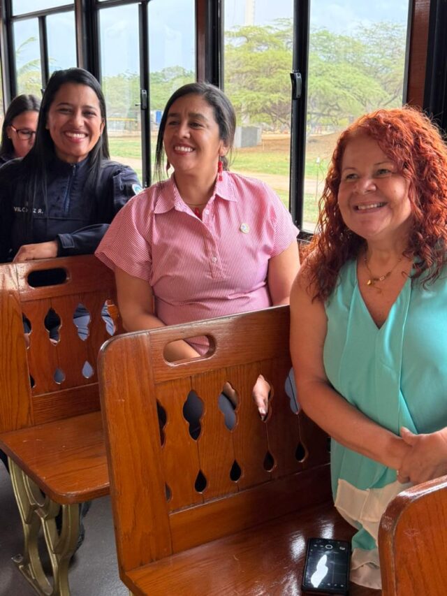 Vice-mujeres