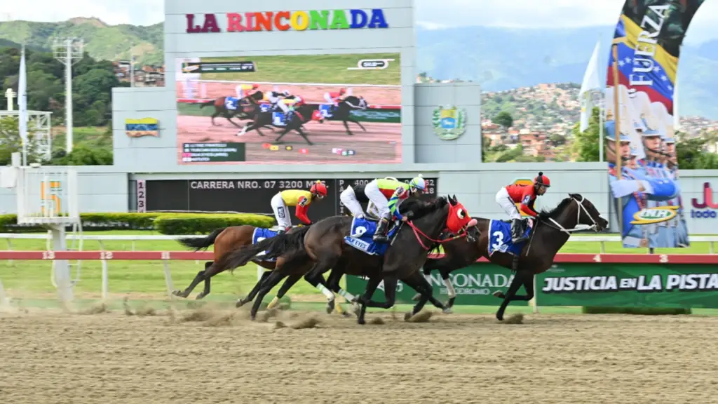 Hipodromo-La-Rinconada18.webp