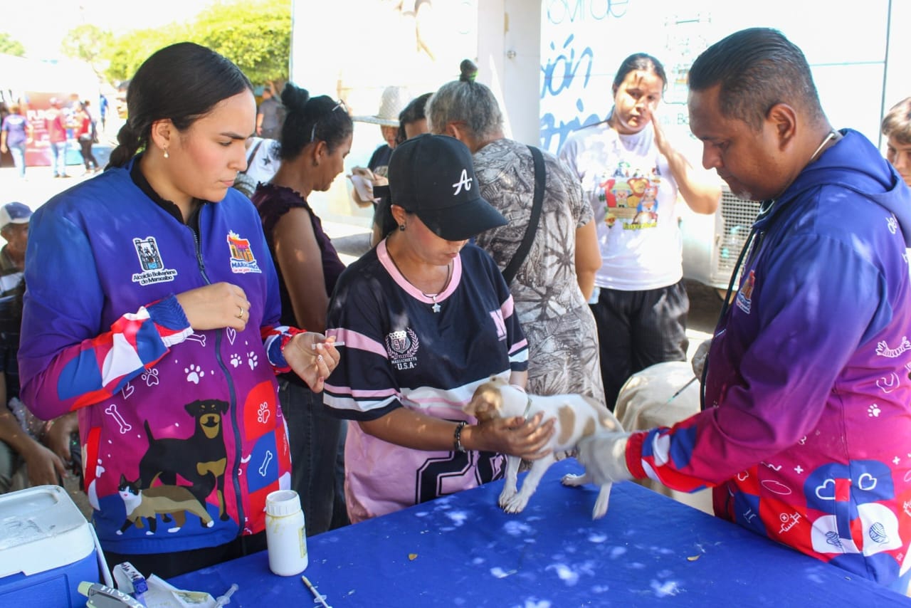Esterilizados más de 100 animalitos en jornada del IMPA