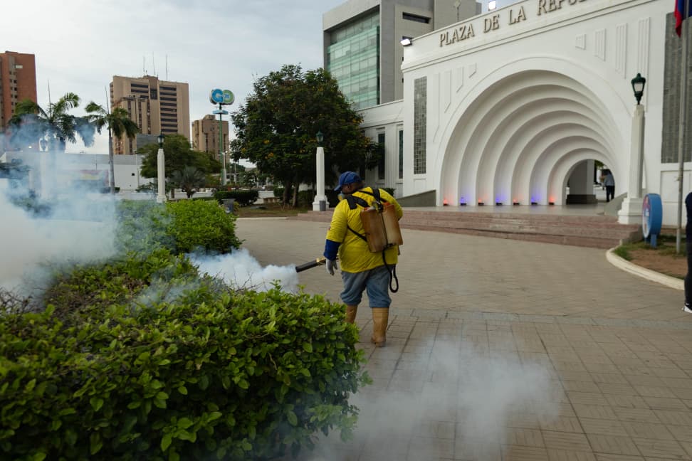 ¡Fumigan Maracaibo!: Plazas, residencias y cementerios en control por la Alcaldía