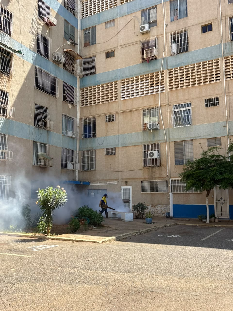 Plan de fumigación de la alcaldía llegó a Residencias El Trébol