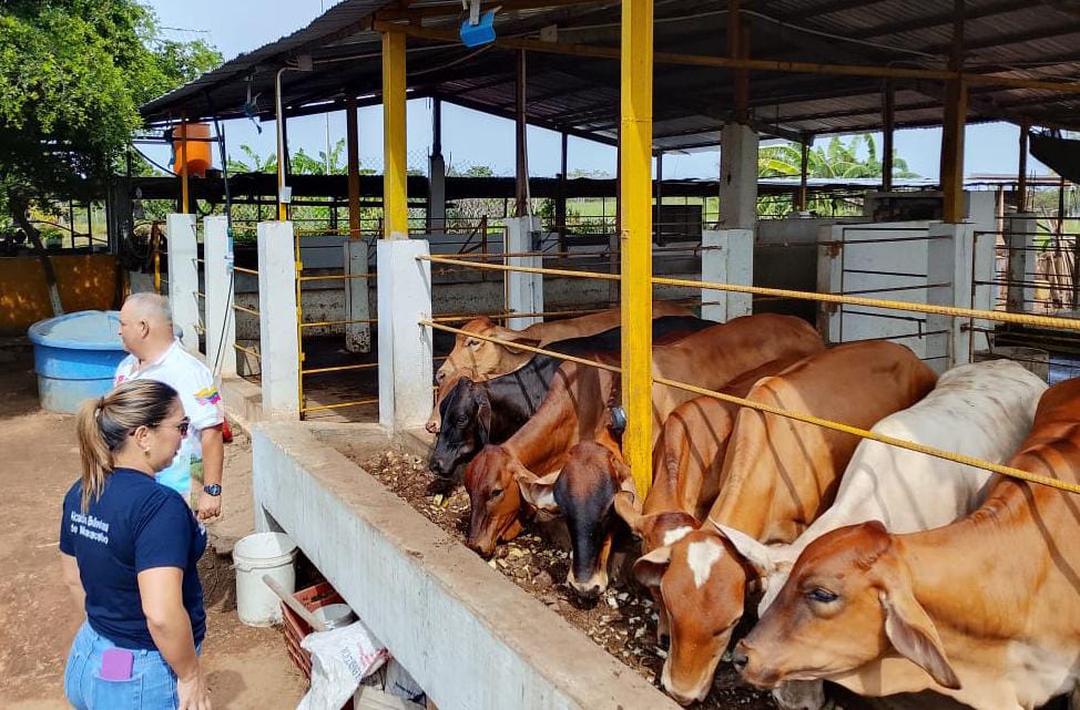 Alcaldía de Maracaibo te invita a la primera ruta “Sembrando Ecoturismo”