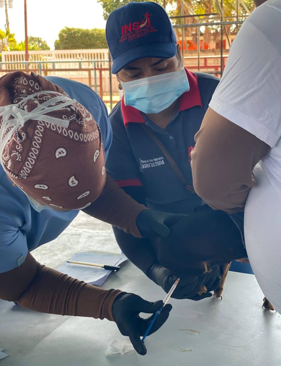 Gobernación del Zulia despliega campaña masiva para aplicar 400 mil vacunas antirrábicas